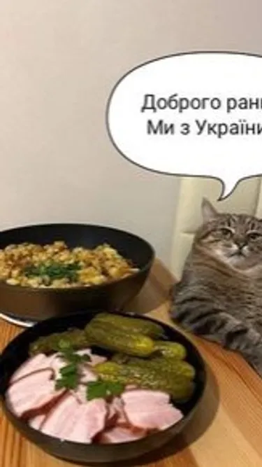 Губка чбоб Screenshot